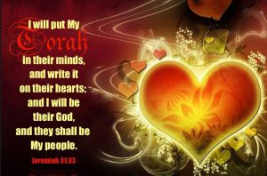 Torah on Heart