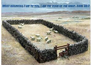 the-door-of-the-sheep